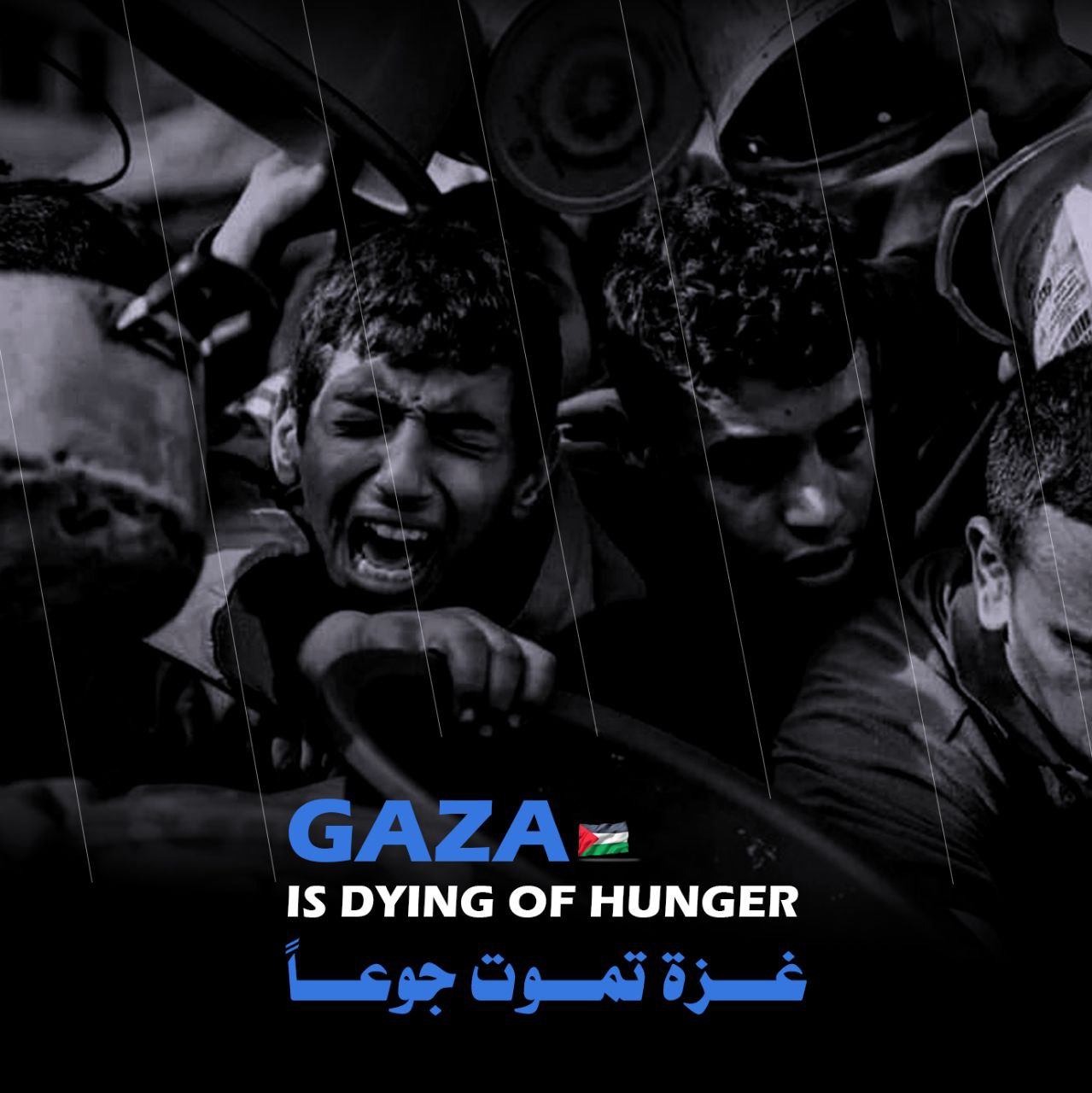 غزة تموت جوعا