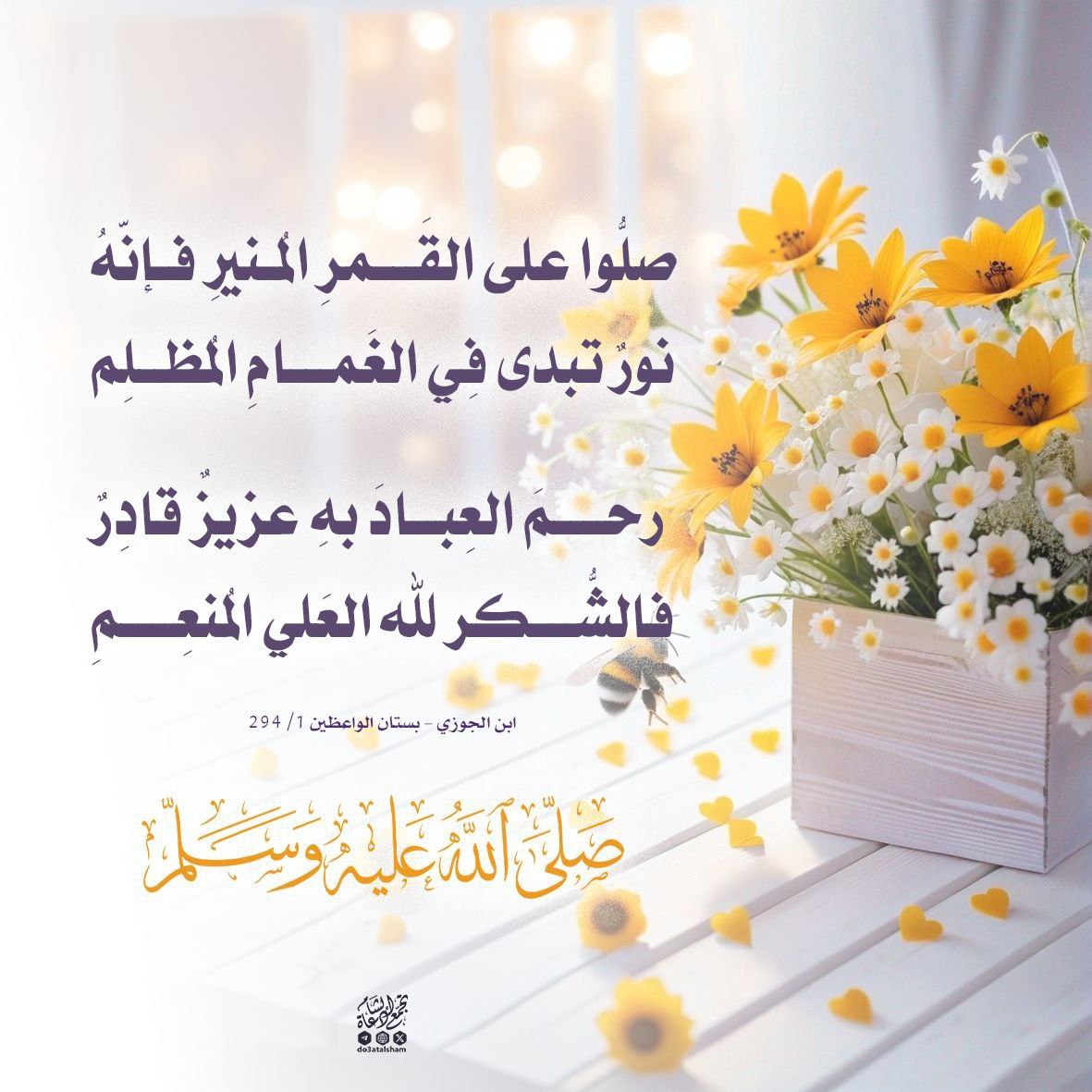 صلوا على القمر المنير