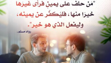 المرونة من مفاتيح النجاح