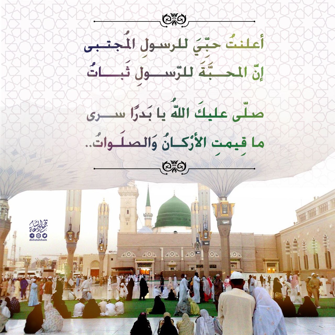 أعلنت حبي للرسول المجتبى