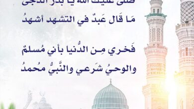 صلى الله عليك يا بدر الدجى