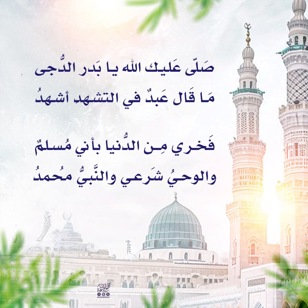 صلى الله عليك يا بدر الدجى