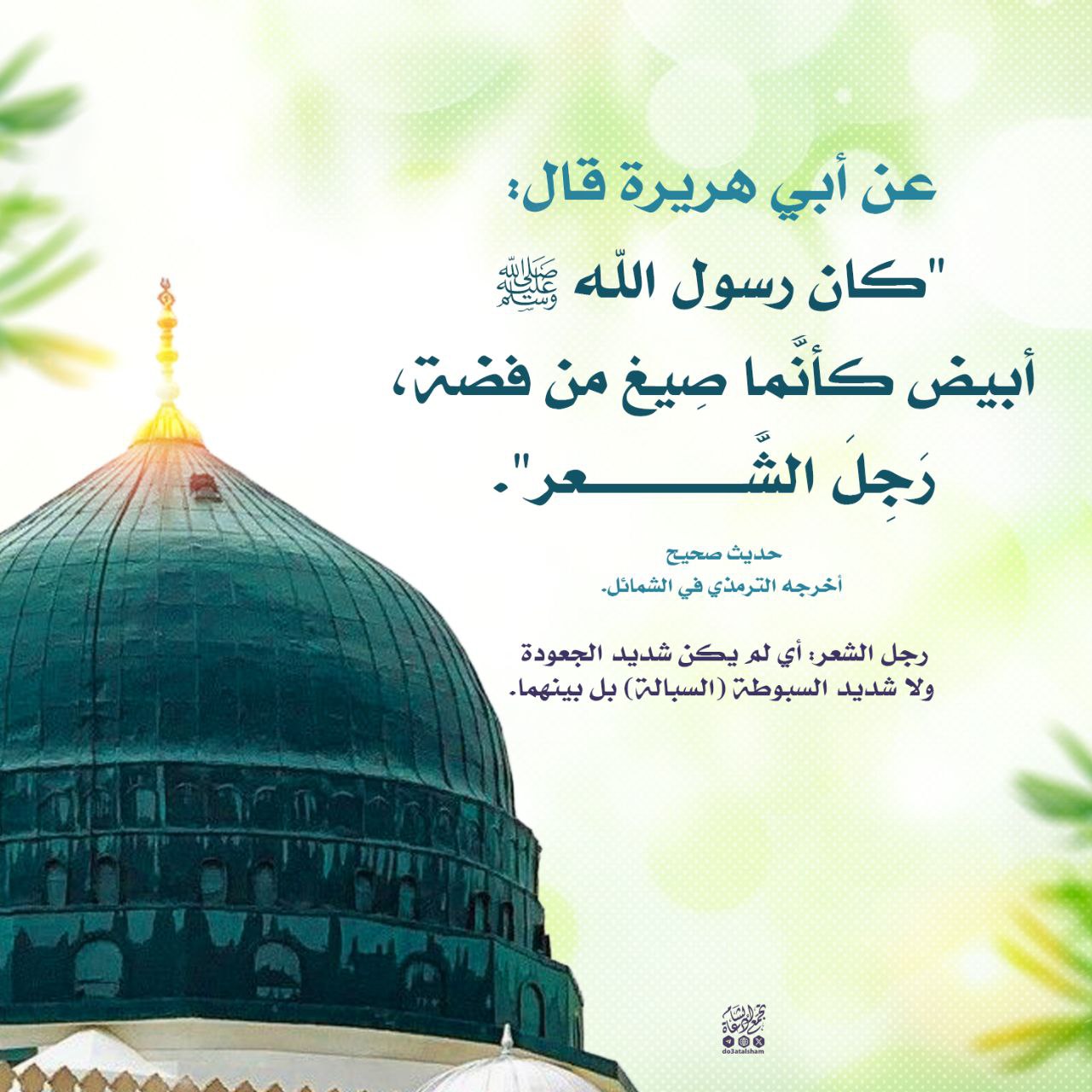 كان رسول الله أبيض