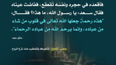 رحمته صلى الله عليه وسلم