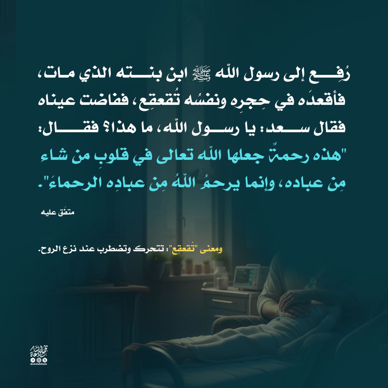 رحمته صلى الله عليه وسلم