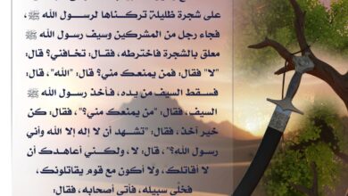 خير الناس في السلم والحرب صلى الله عليه وسلم