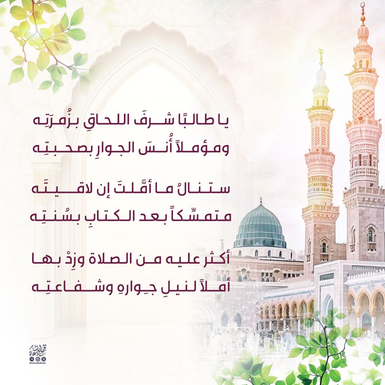 يا طالبا شرف اللحاق بزمرته