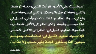 عرضت علي الأمم