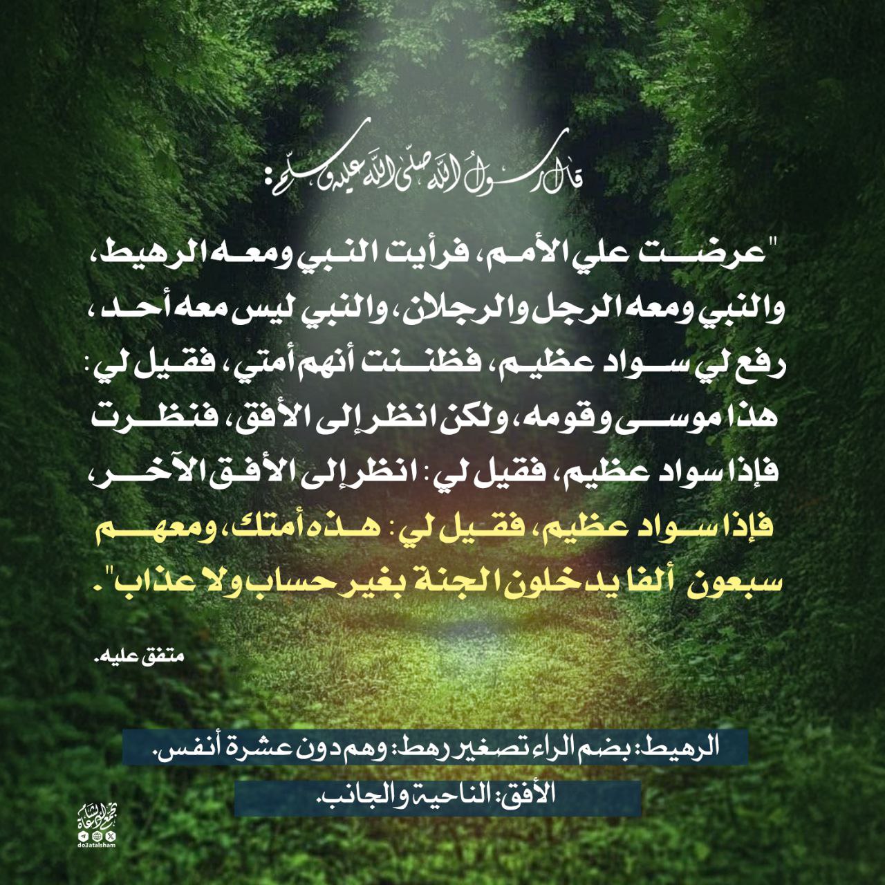 عرضت علي الأمم