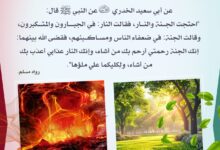 أهل الجنة وأهل النار!