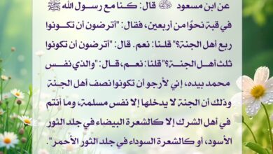 أمة النبي محمد صلى الله عليه وسلم نصف أهل الجنة