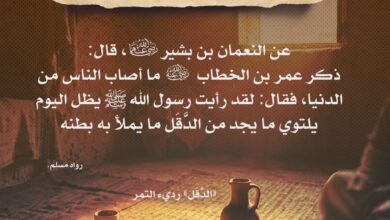 من صور صبر النبي صلى الله عليه وسلم