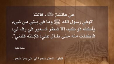 حال بيوت رسول الله صلى الله عليه وسلم