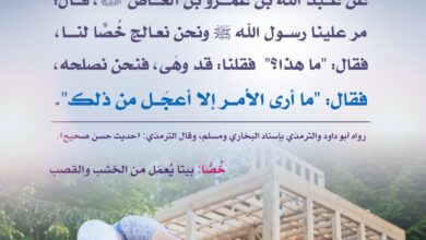 الدنيا ممر لا مقر