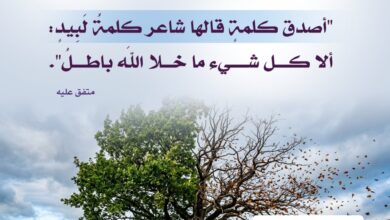 أصدق كلمة قالها شاعر