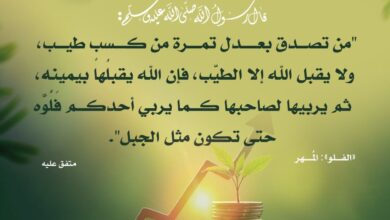 أجر الصدقة من الكسب الطيب