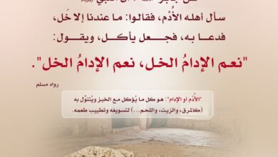 نعم الإدام الخل