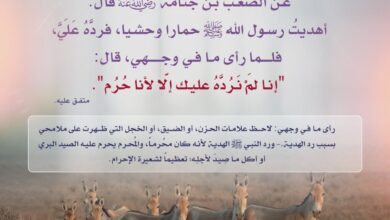 لطف النبي صلى الله عليه وسلم ورده لهدية الصيد وهو محرم