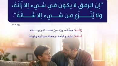 فضل الرفق