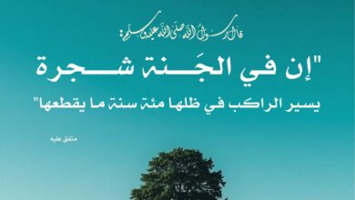 سعة ظل شجر الجنة